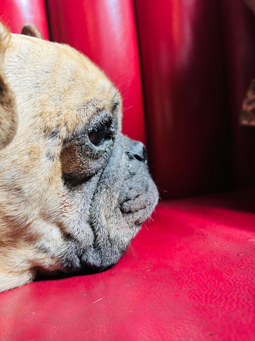 Social Media sucks the life out of me